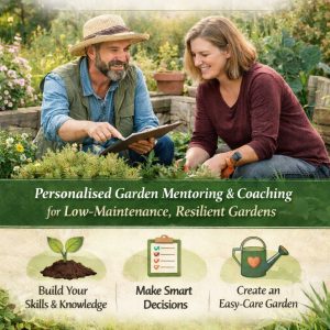 Mentoring & Coaching